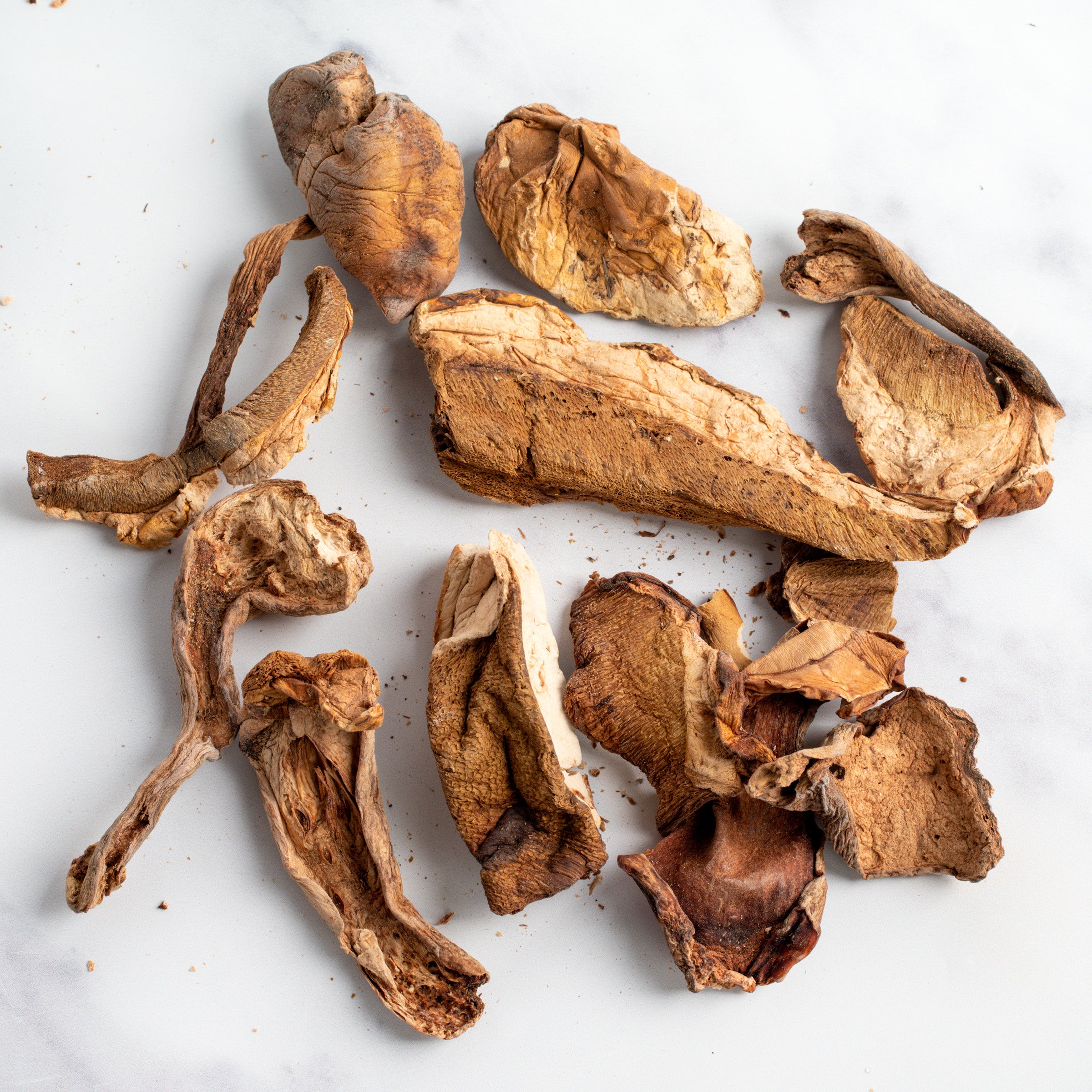 Dried Porcini Mushrooms, 1.76 oz - Isola - Italian Food & Ingredients