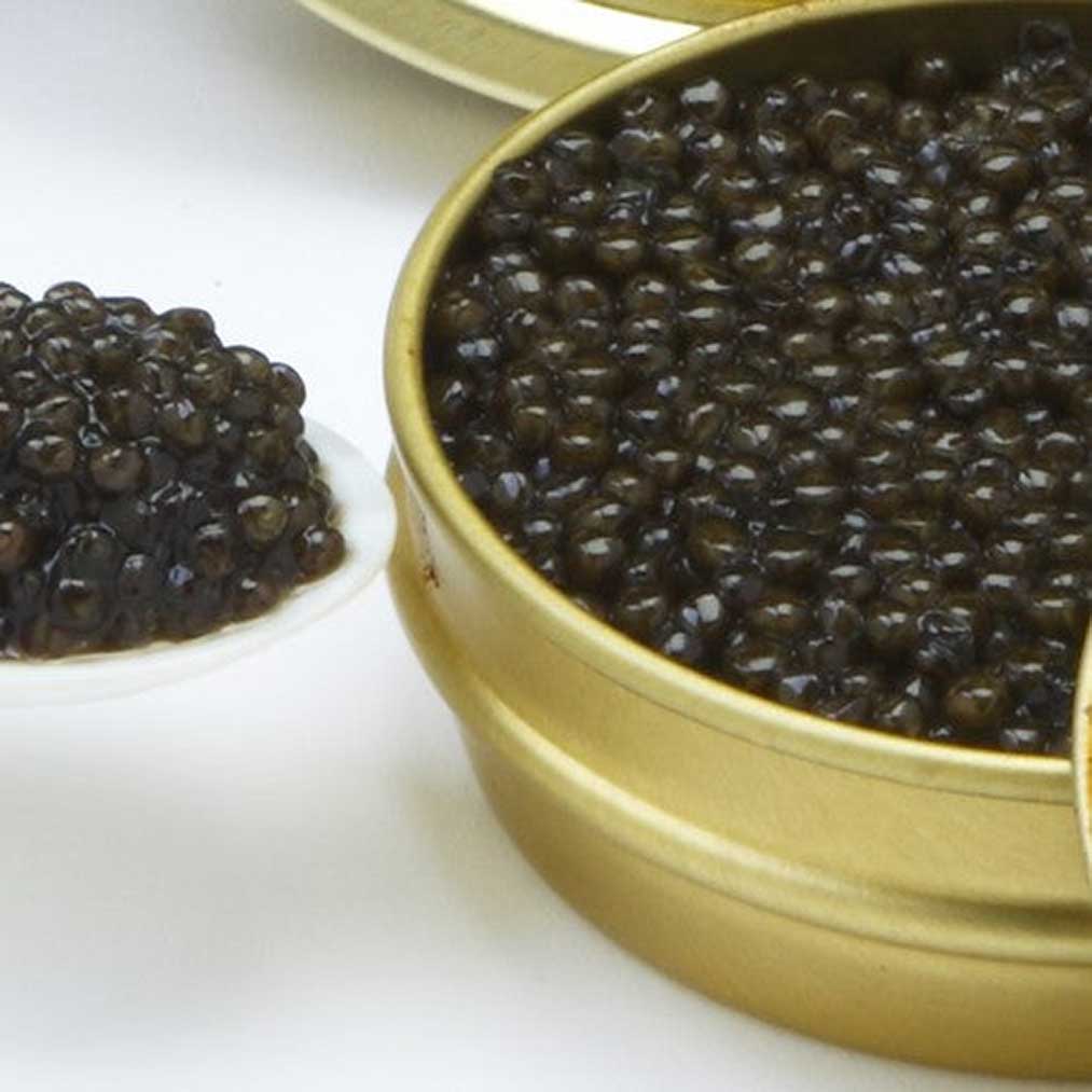 White Sturgeon Caviar