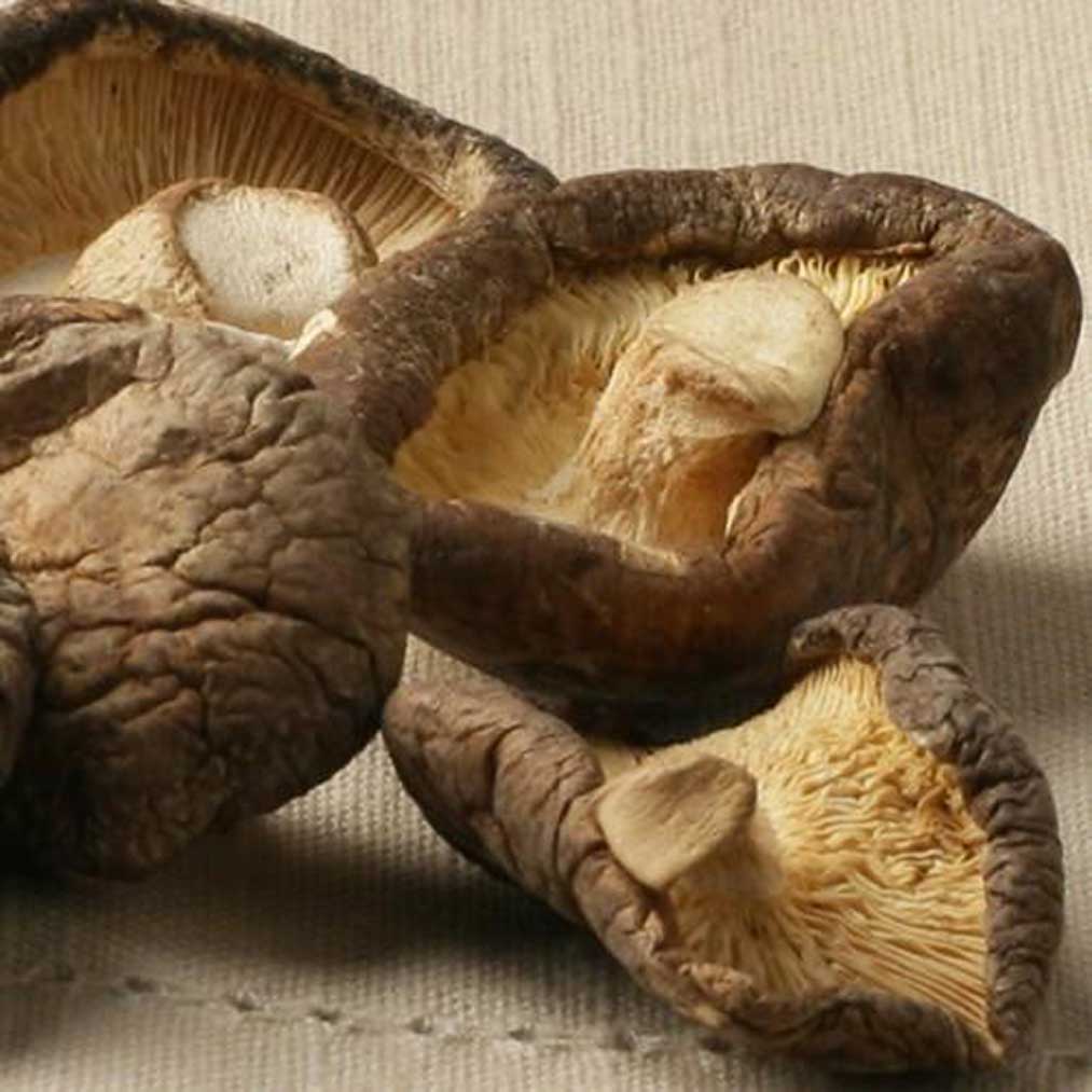 Dried Shiitake Mushroom Caps