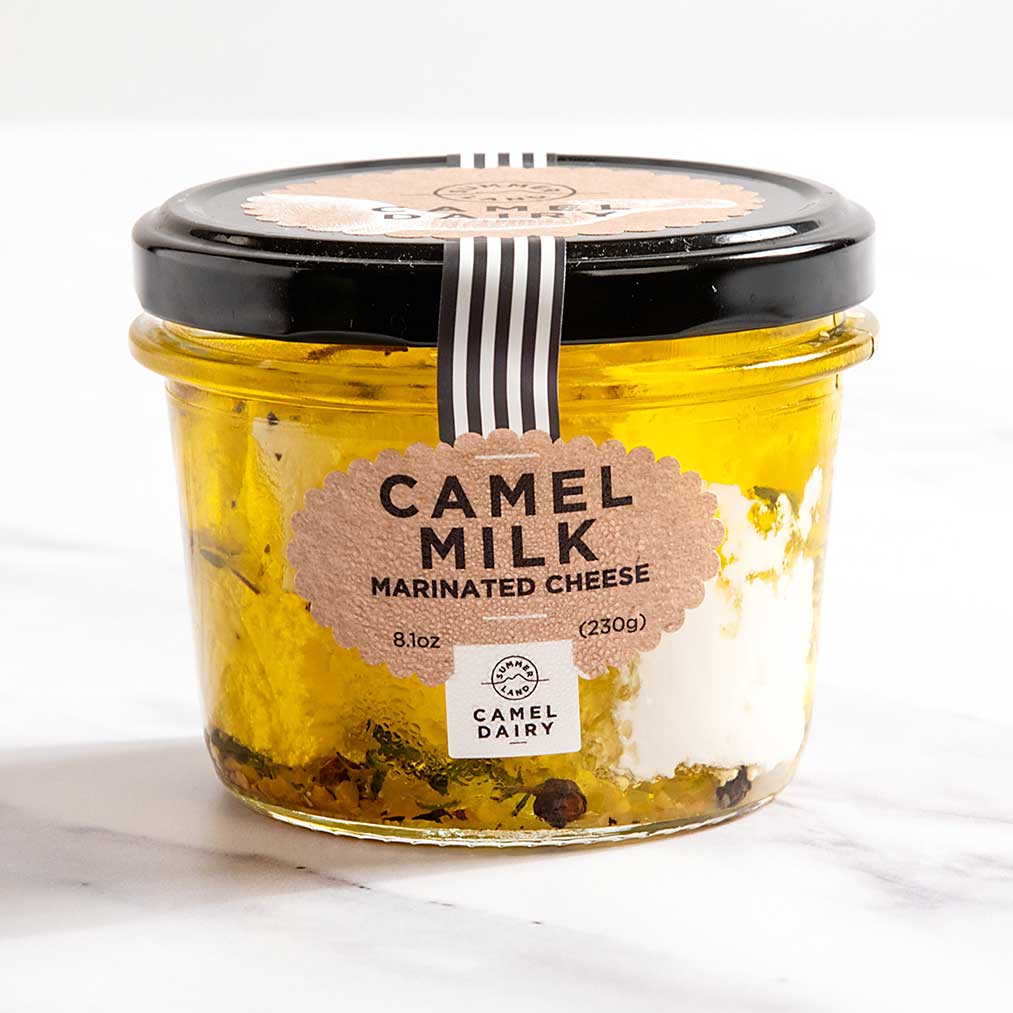 Persian Camel Milk Feta Cheese in Oil