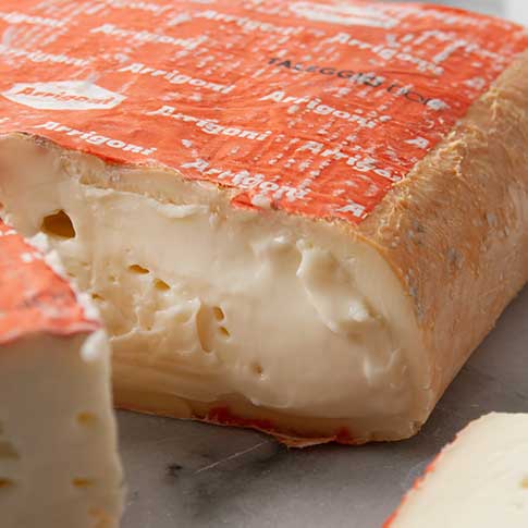 Taleggio DOP Cheese