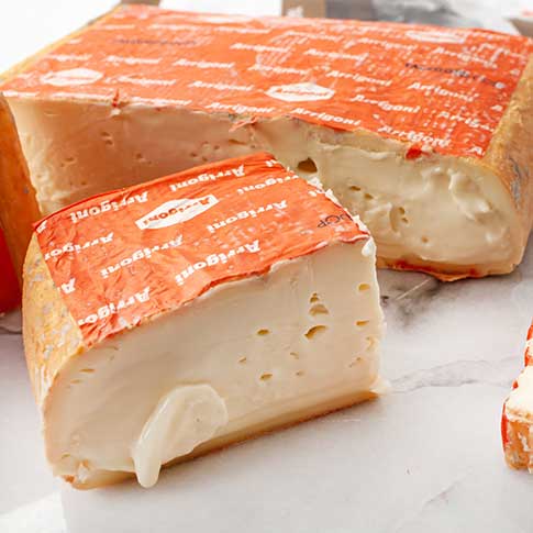 Taleggio DOP Cheese