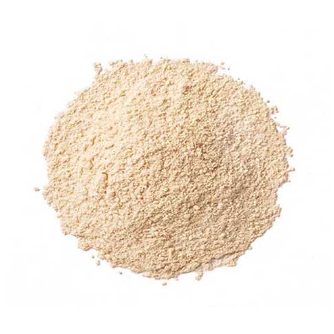 Porcini Powder