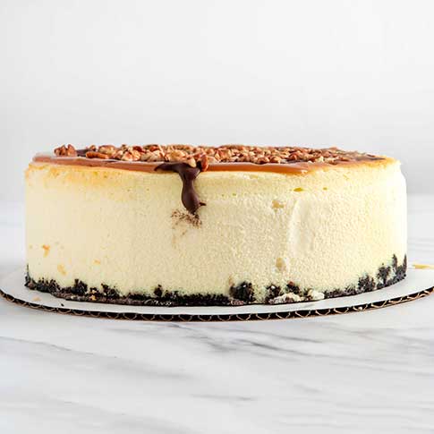 Turtle Cheesecake