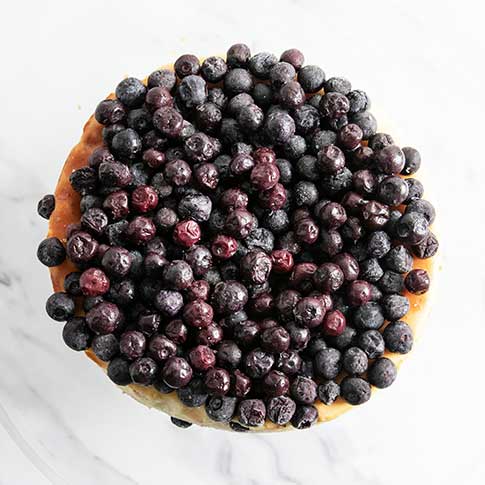 Blueberry Cheesecake