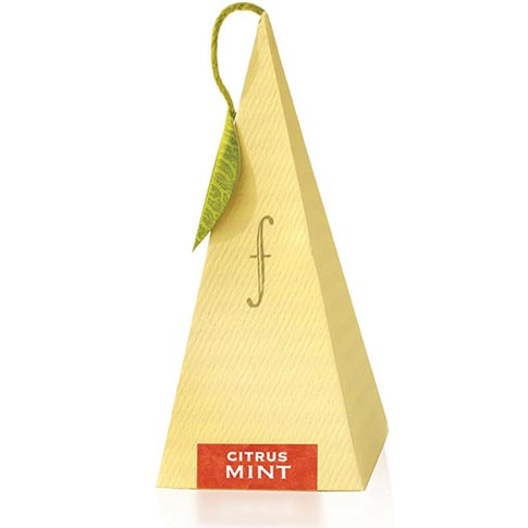 Tea Forte Citrus Mint Herbal Tea Infusers