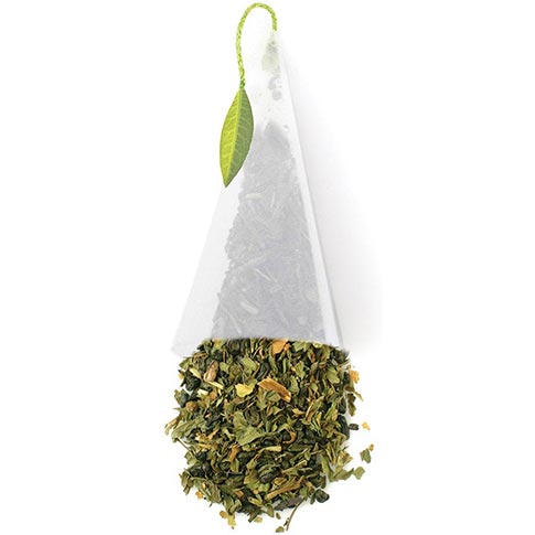 Tea Forte Moroccan Mint Green Tea - Event Box, 48 Infusers