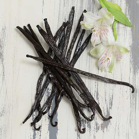 Madagascar Vanilla Planifolia Beans - Grade A