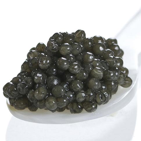 Sevruga Caviar - Malossol, Farm Raised