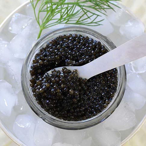 Emperior Osetra Karat Russian Caviar - Black