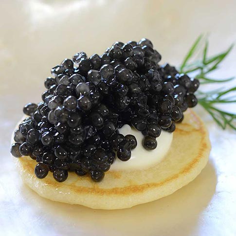 Emperior American White Sturgeon Caviar