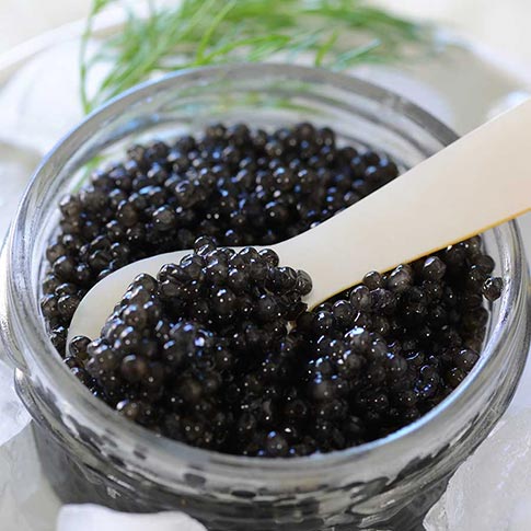 Emperior American White Sturgeon Caviar