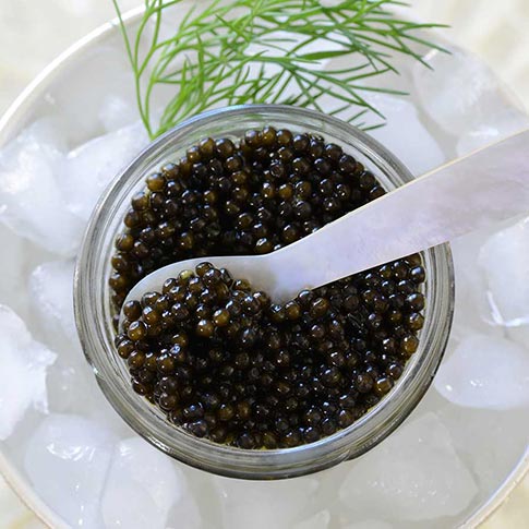 Emperior Beluga Hybrid Caviar