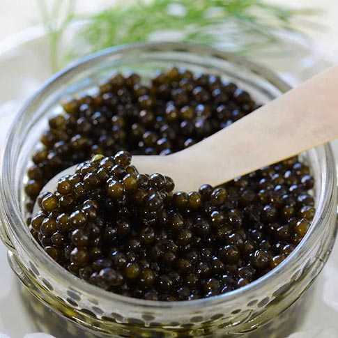 Emperior Beluga Hybrid Caviar