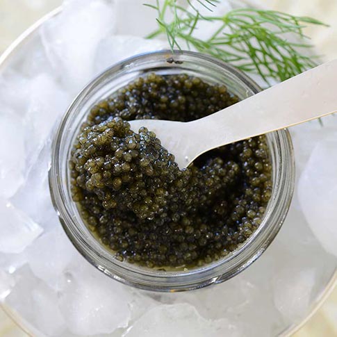 Emperior American Paddlefish Caviar