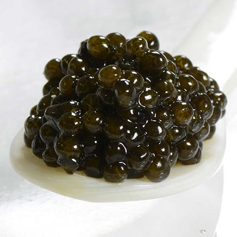 Kaluga Fusion Black Sturgeon Caviar - Malossol, Farm Raised