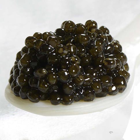 Royal Siberian Sturgeon Caviar - Malossol, Farm Raised