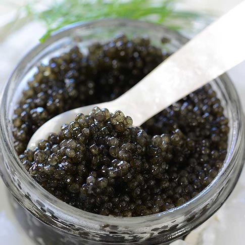 Emperior Sevruga Caviar - Malossol, Farm Raised