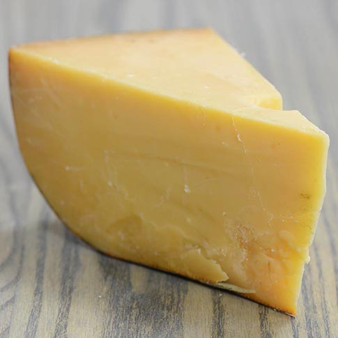 Gouda