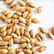 Roasted Butternut Squash Seeds