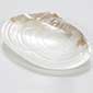 Hand Carved Mother of Pearl Caviar Serving Plate - 23 x 13 cm