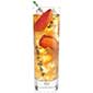 Tea Forte Green Mango Peach Iced Tea - Green Tea