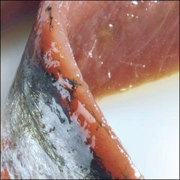 Anchovies - Gourmet Guide