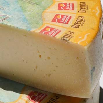 Brenta Cheese