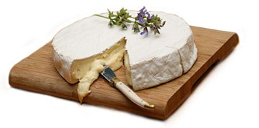 Brie and White Mold - Cheese Guide