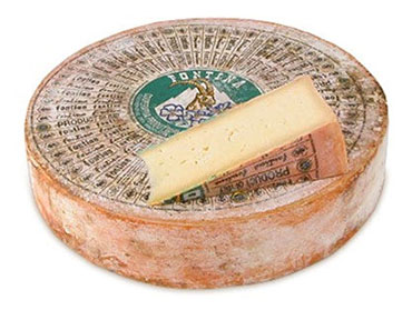 Fontina - Gourmet Guide