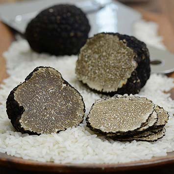 Fresh Italian Black Summer Truffles  | Gourmet Food Store