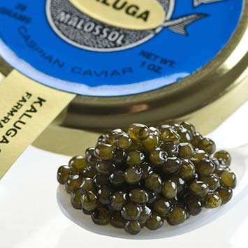 Kaluga Fusion Sturgeon Caviar - Malossol, Farm Rised