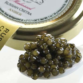 Osetra Amber Caviar - Malossol, Farm Raised