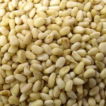 Pine Nuts - Gourmet Guide