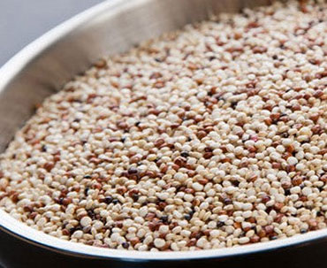 Quinoa - Gourmet Guide