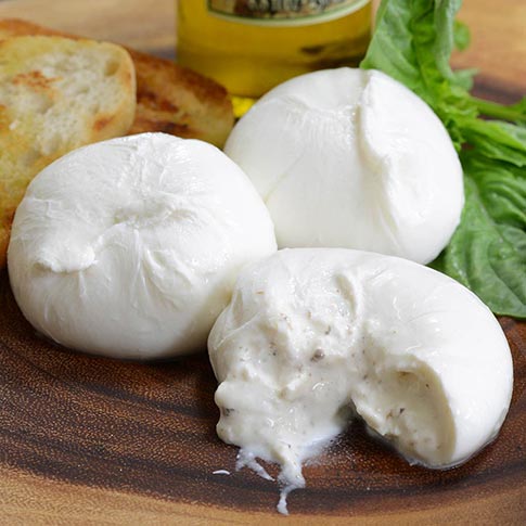 Truffle Burrata