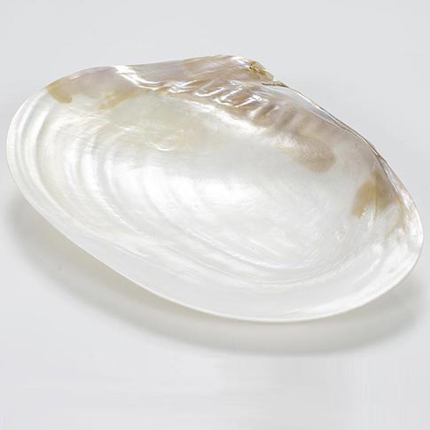 Hand Carved Mother of Pearl Caviar Serving Plate - 23 x 13 cm